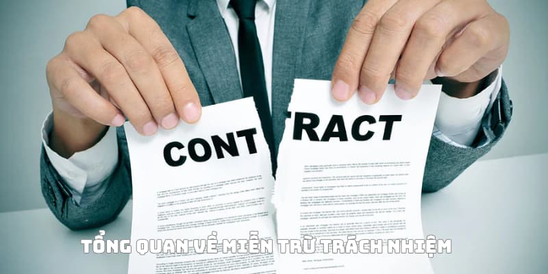Tổng quan về chính sách