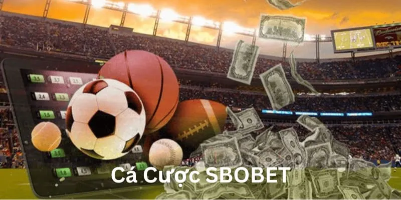 Tổng quan một vài nét về cá cược SBOBET